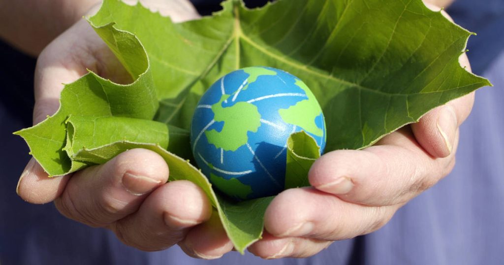 earth and leaf in hands