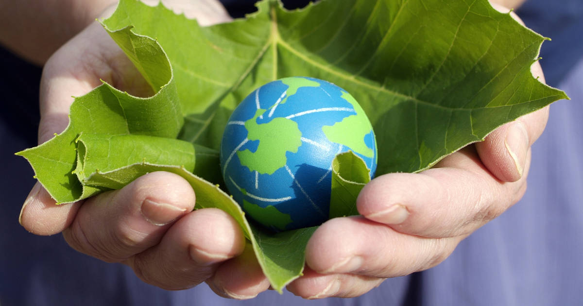earth and leaf in hands